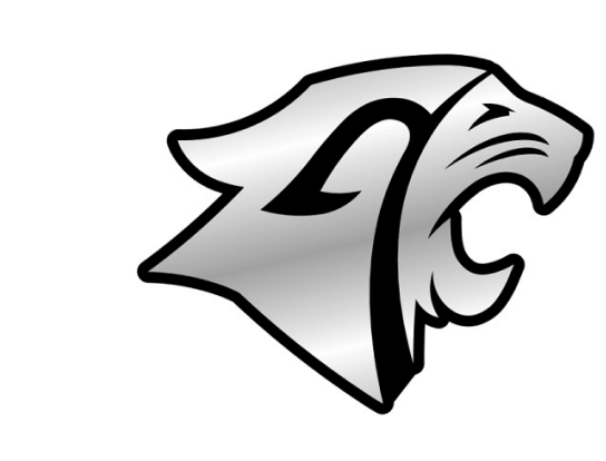 Chrome Car Decal