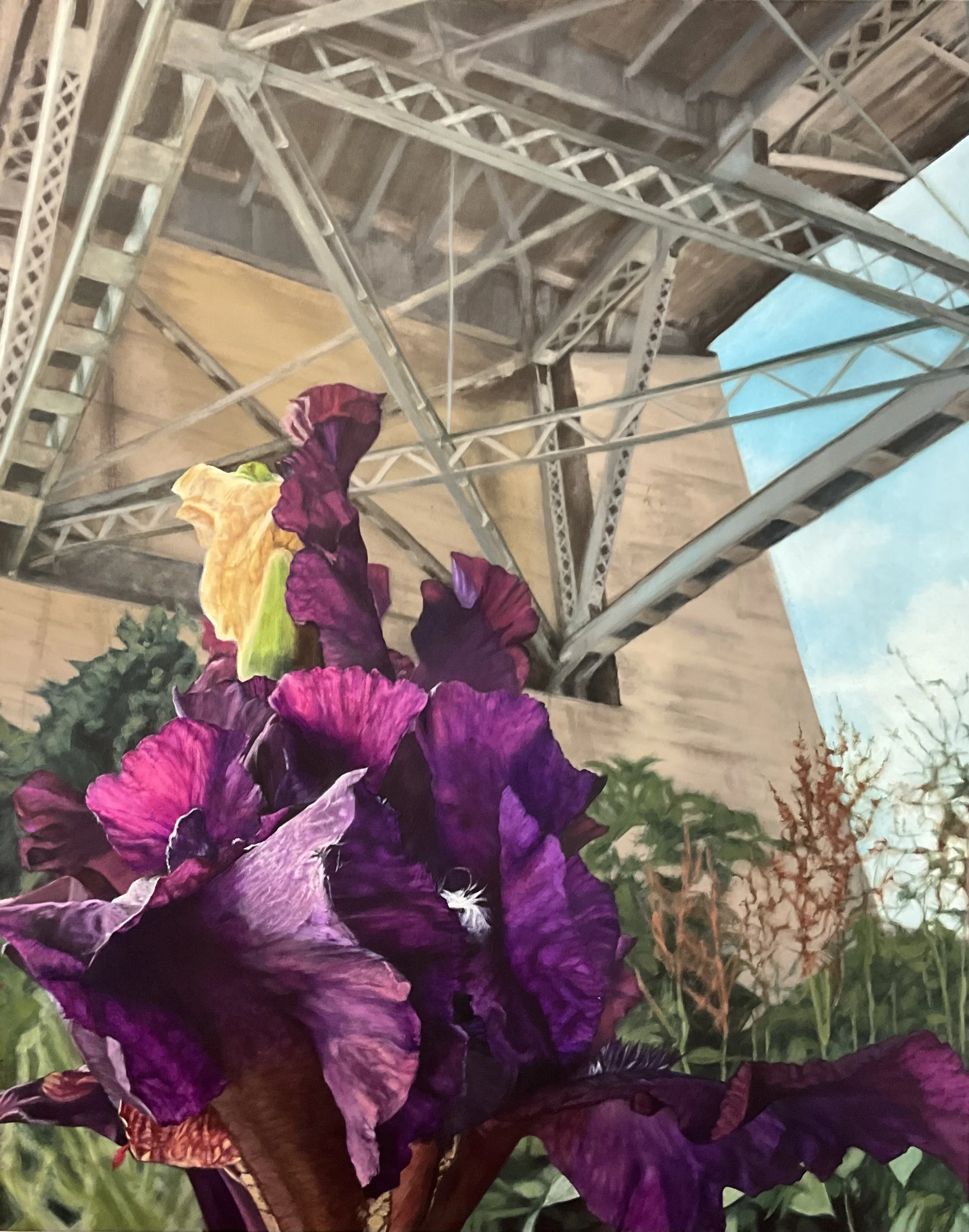 IMG_0051.jpeg