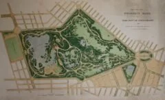 Landscape Artistry and Strategy