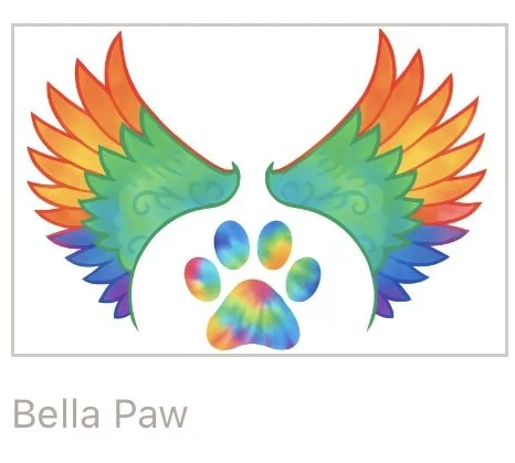 The Bella Long Sleeve T-Shirt