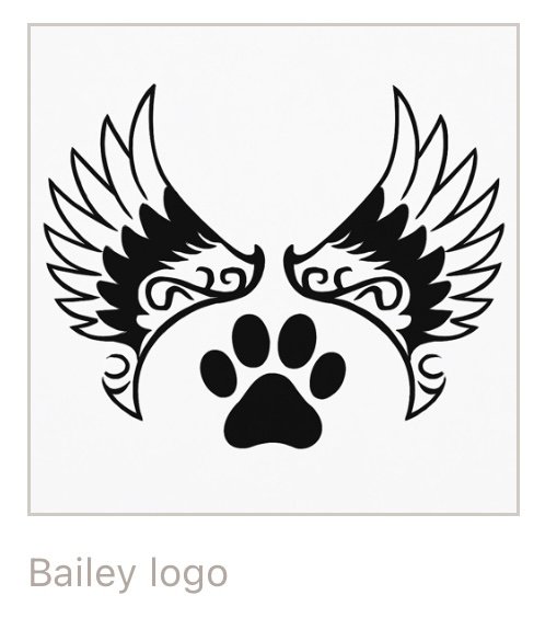 High Visibility Vest