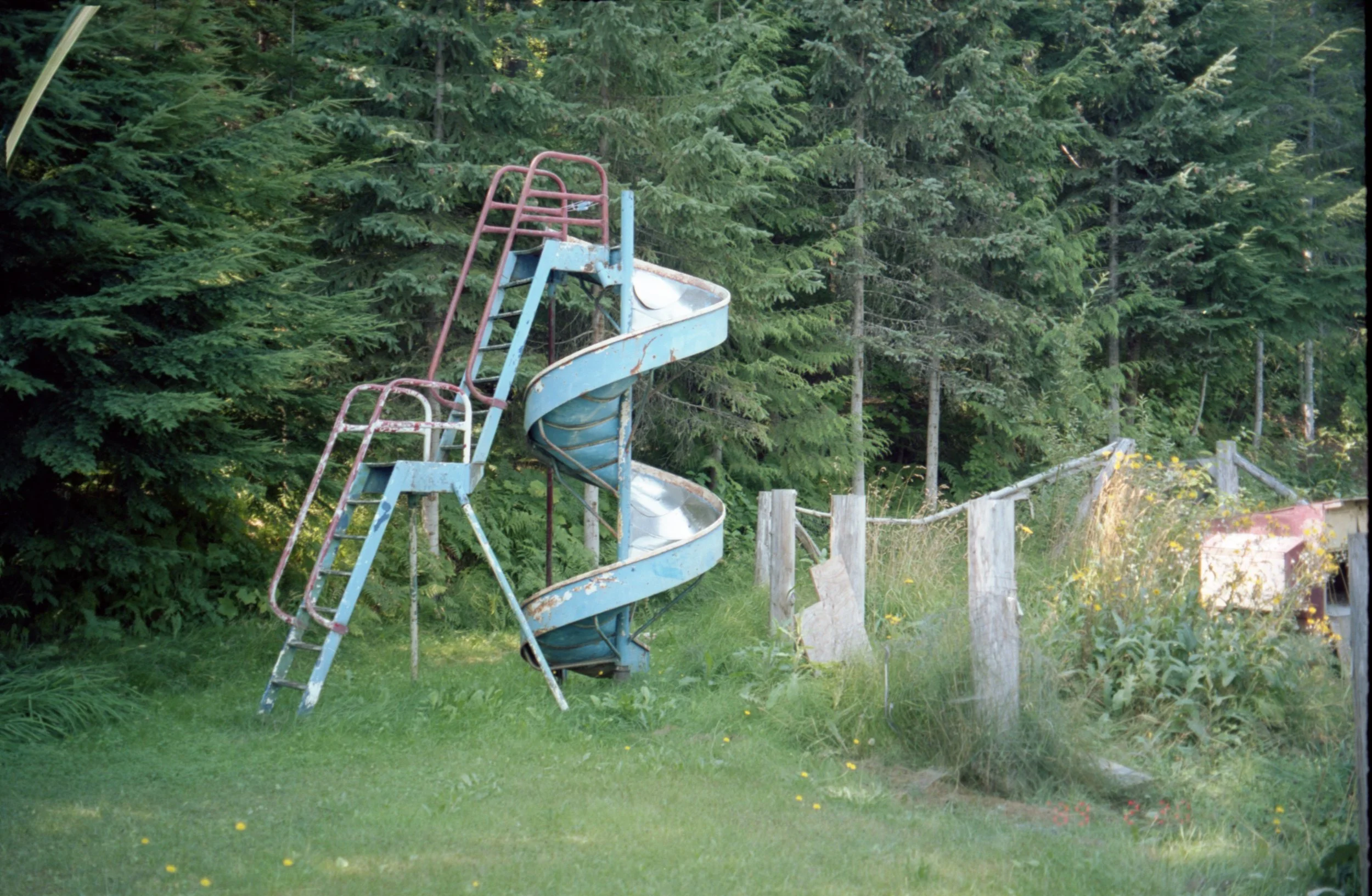 "GIRAFFE SLIDE" 35mm, 2021