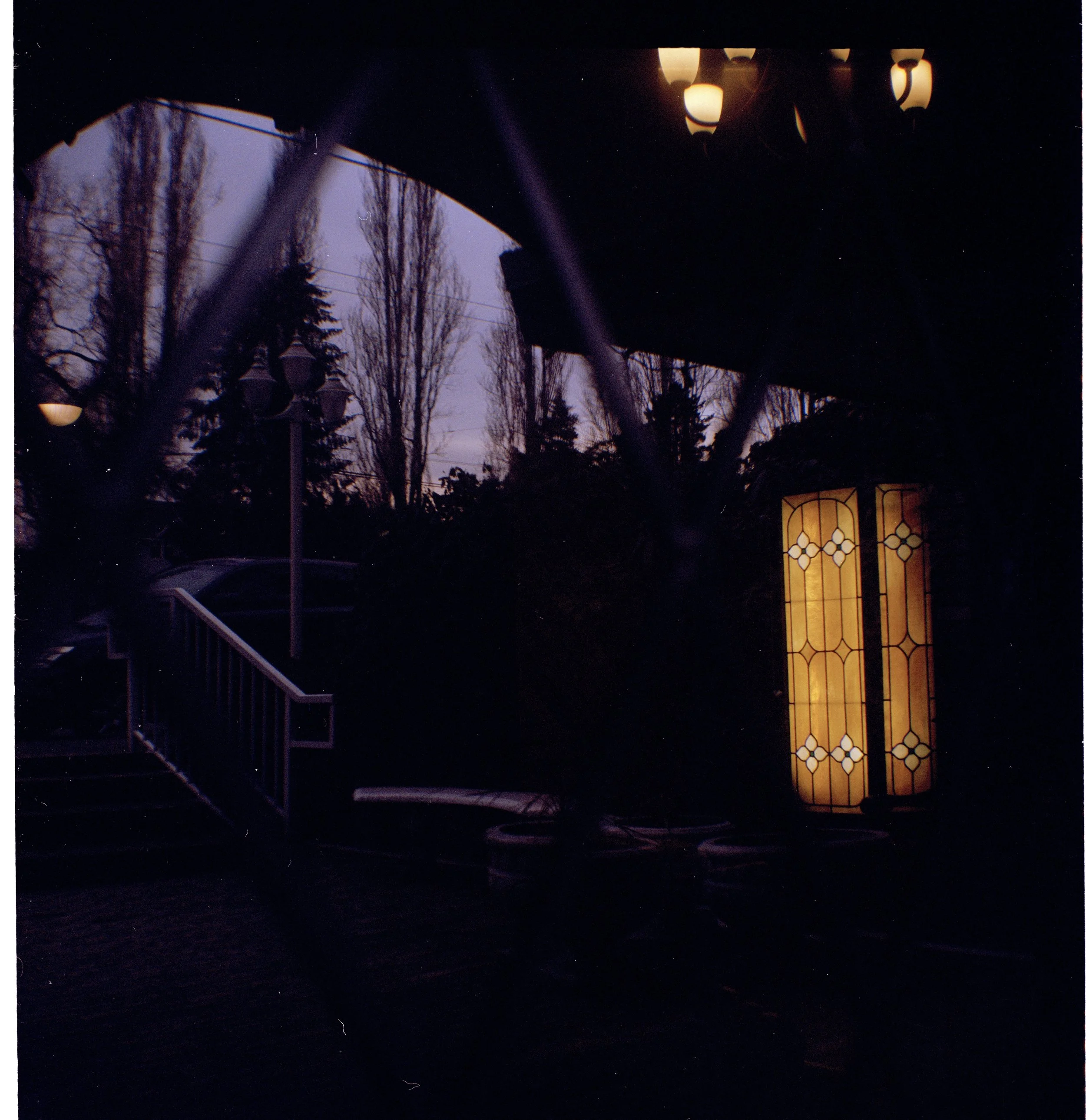 "SWEET REFLECTION" 120mm, shot on vintage brownie hawkeye, 2016