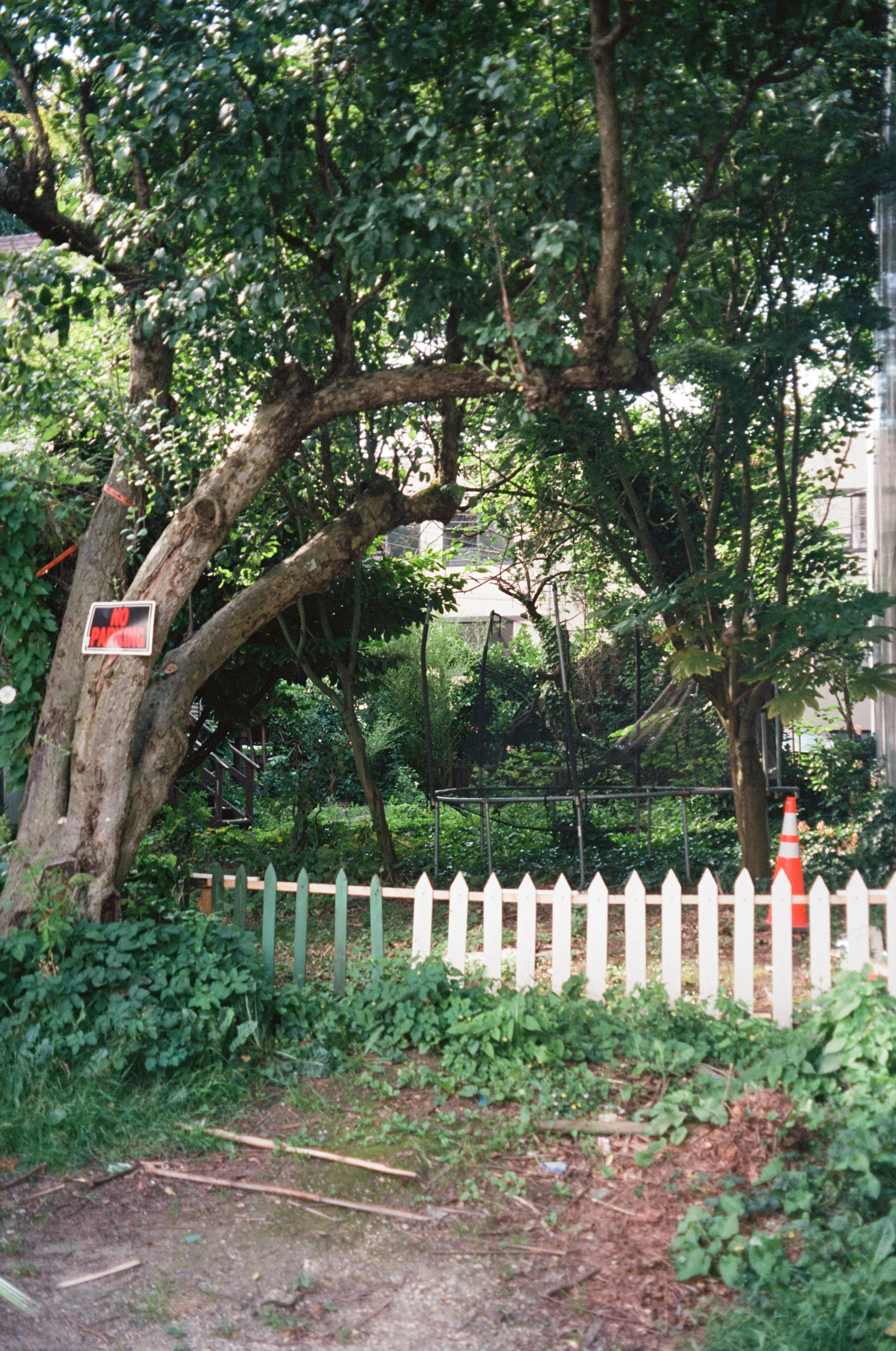 "WATCH OUT FOR THE CANOPY" 35mm, 2022