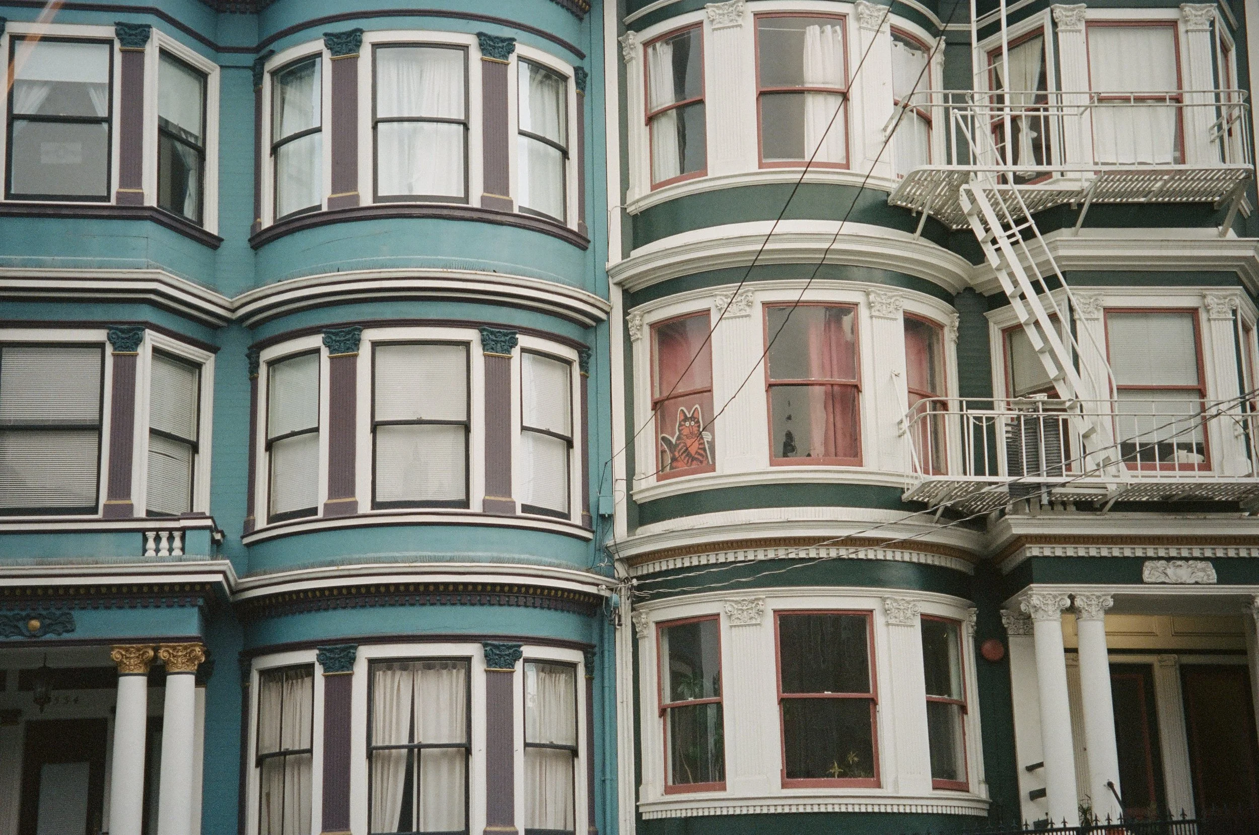 "WALL TO WALL SF" 35mm, 2022