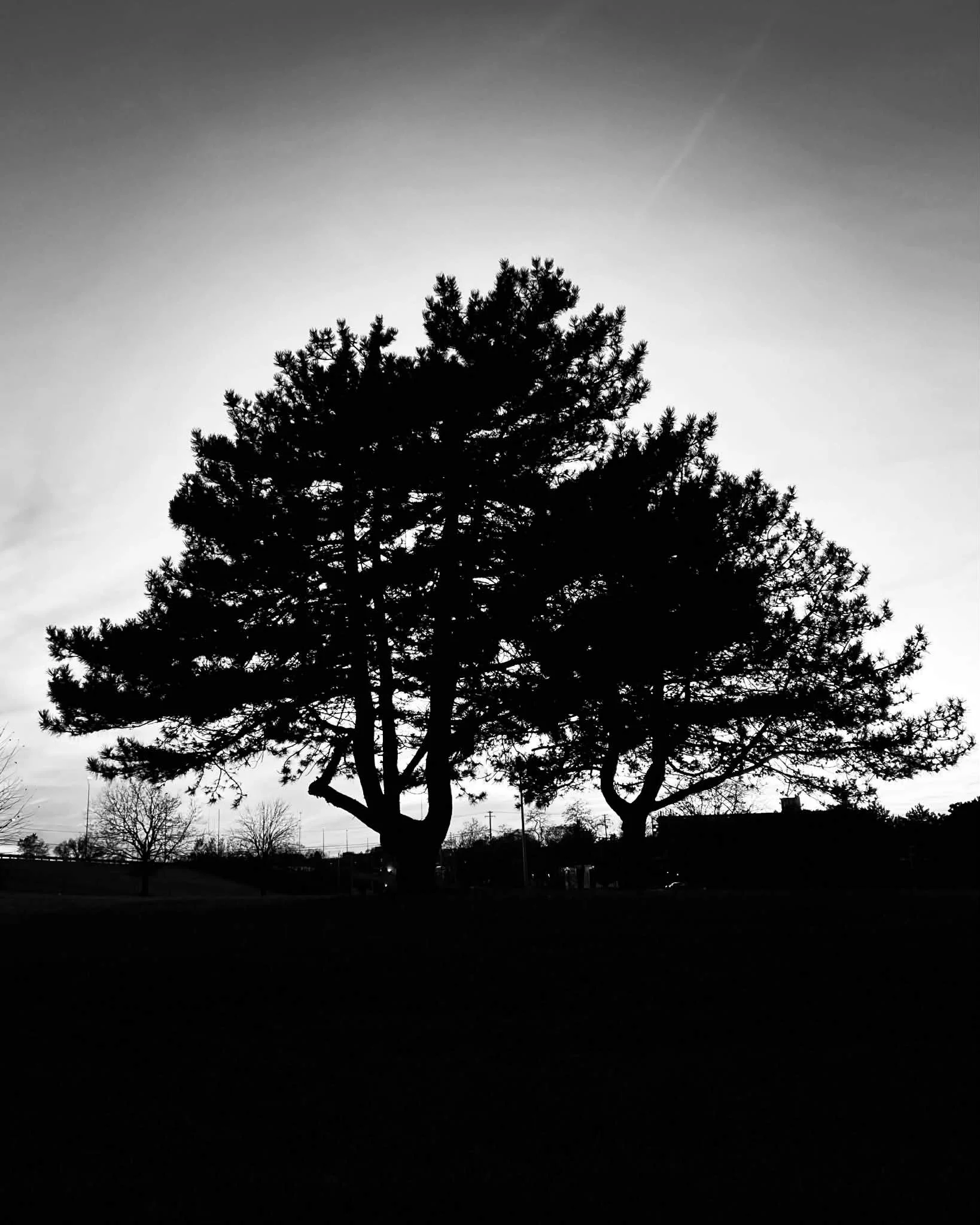 Blind Date With A Poem