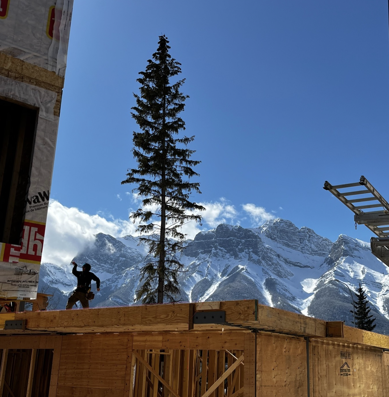 Construction site with wooden framing, a worker drinking water, tall pine trees, snow-capped mountains, and a clear blue sky.