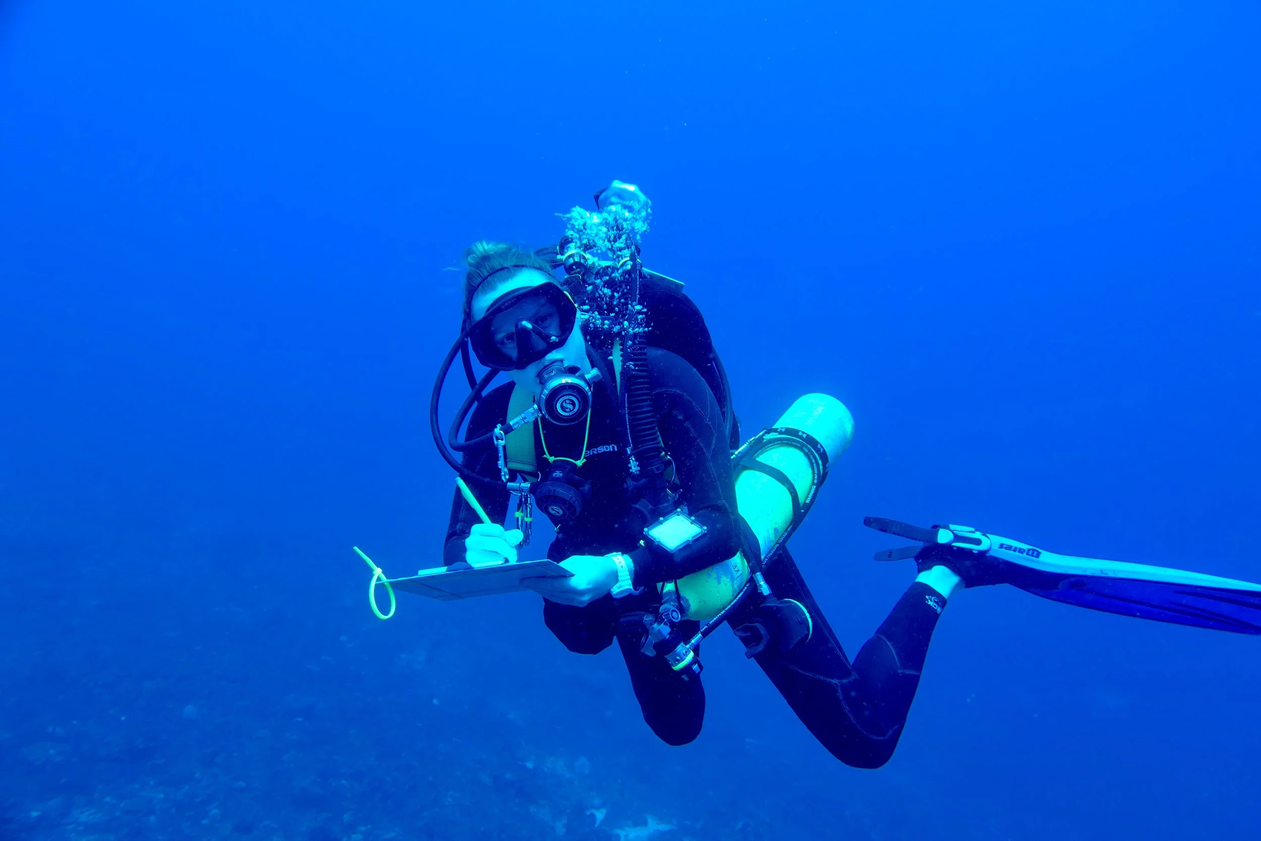 A scuba diver underwater holding a writing board and pen, wearing a wetsuit, mask, and fins.