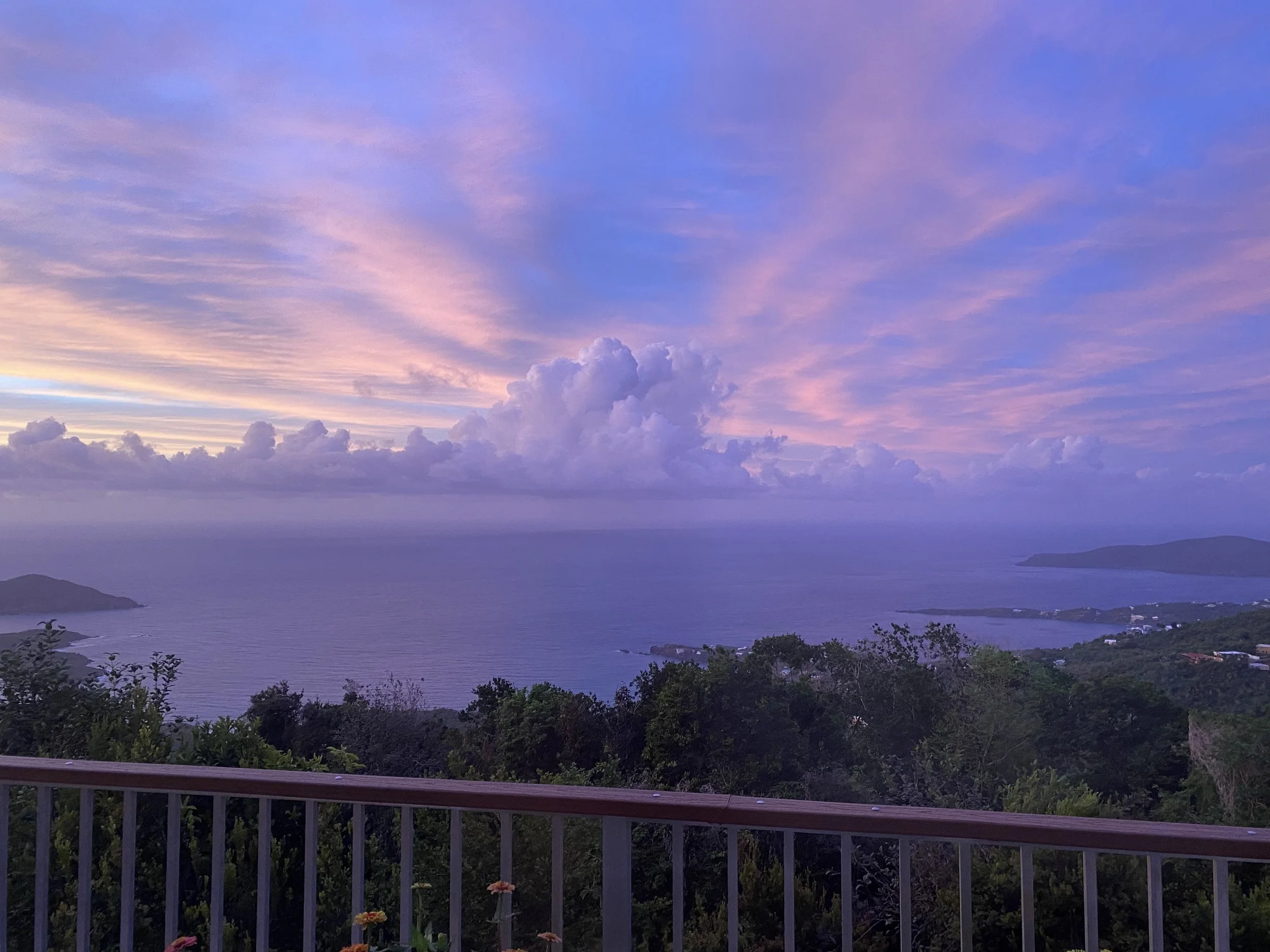 Scenic view of a sunset over the ocean with pink and purple clouds, lush greenery in the foreground, and distant islands.
