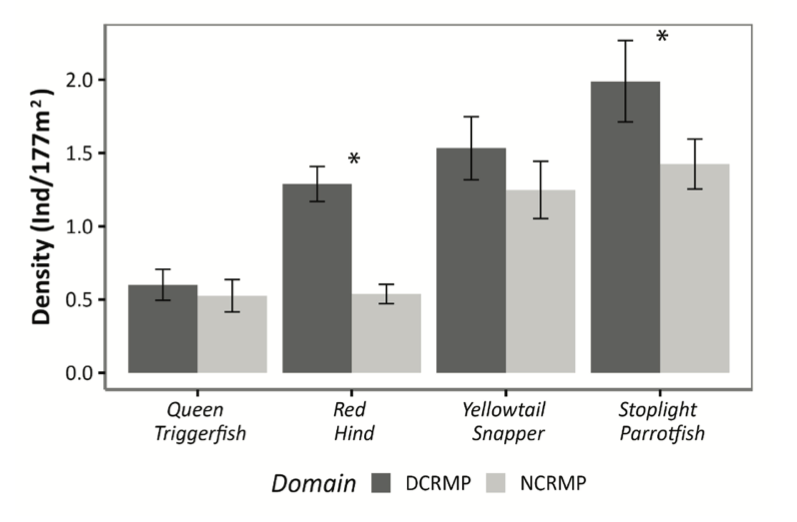 Bar graph comparing density (Ind/177m2) between DCRMP and NCRMP across four fish species: Queen Triggerfish, Red Hind, Yellowtail Snapper, and Stoplight Parrotfish. The Stoplight Parrotfish shows the highest density in DCRMP, with significant differences marked by an asterisk.