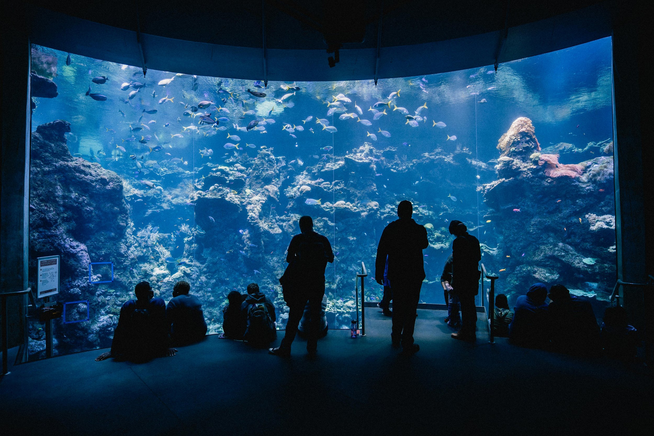 Visitors observing a large underwater coral reef exhibit at an aquarium.