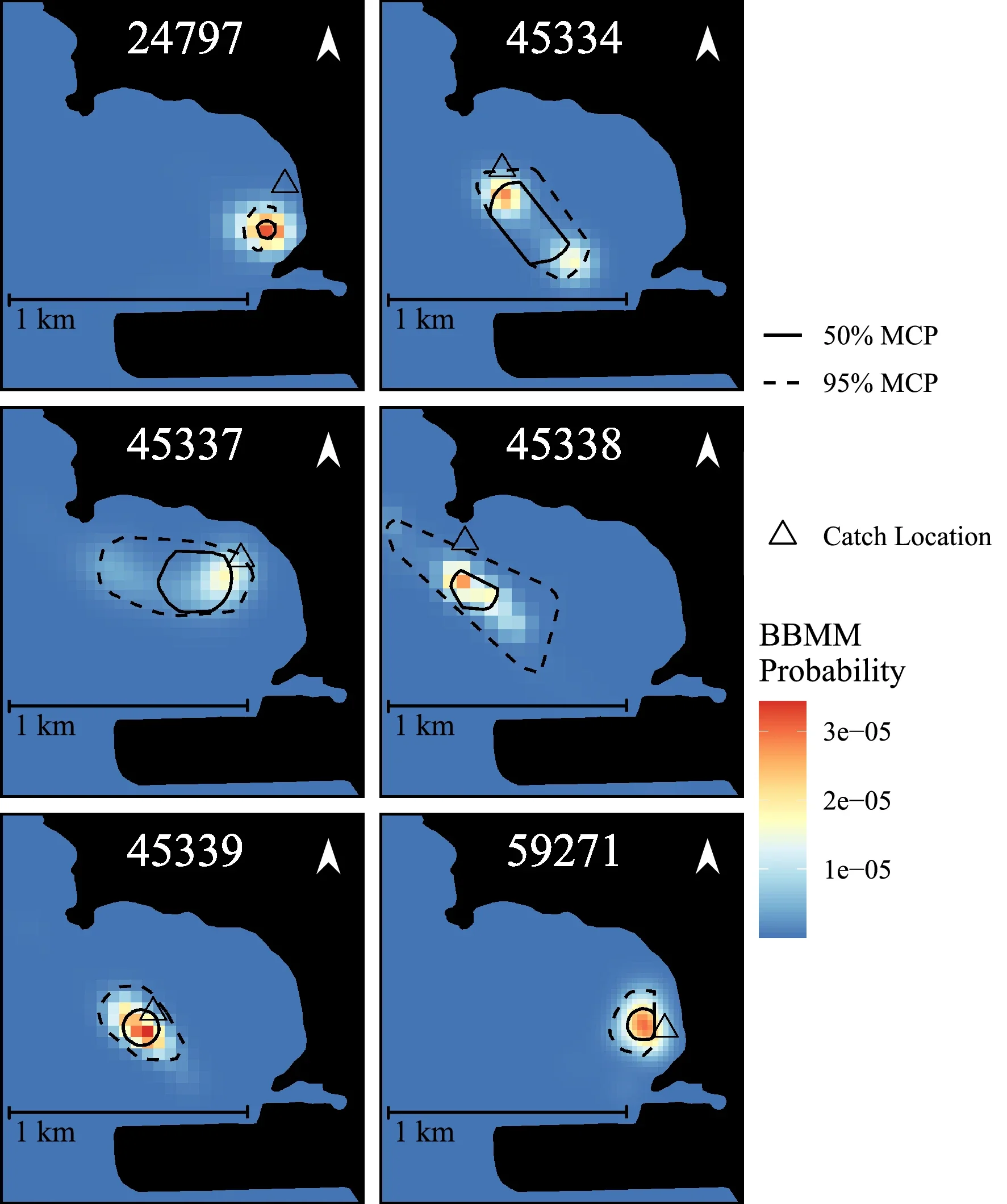 Six maps showing probability distributions of catch locations for different fish. Each map displays 50% and 95% minimum convex polygon contours, catch locations marked by triangles, and a color scale indicating BBMM probability levels, with a 1 km scale bar and north arrow.