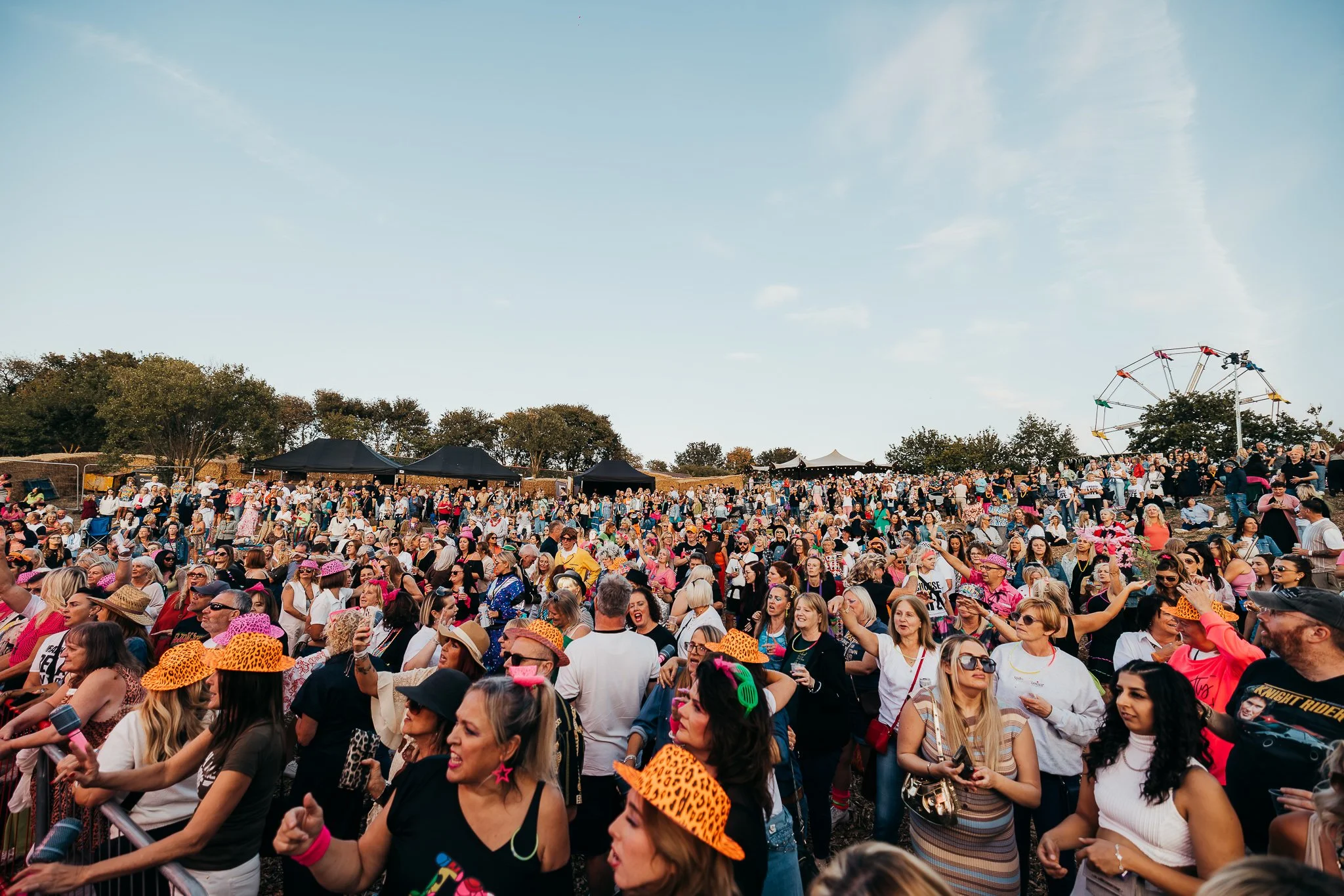 Crowd of people attending outdoor festival with tents and a Ferris wheel in the background during daytime.