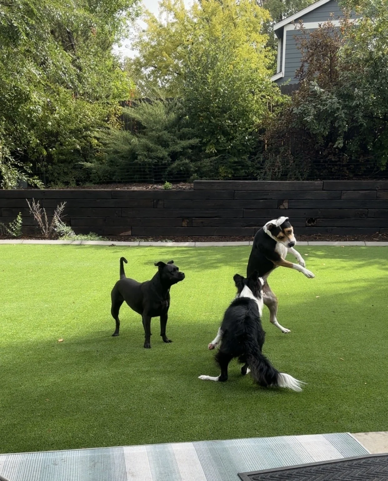 20240922_164836605_iOS 1.jpg