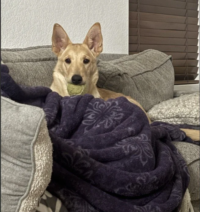 Home Away from Home Care