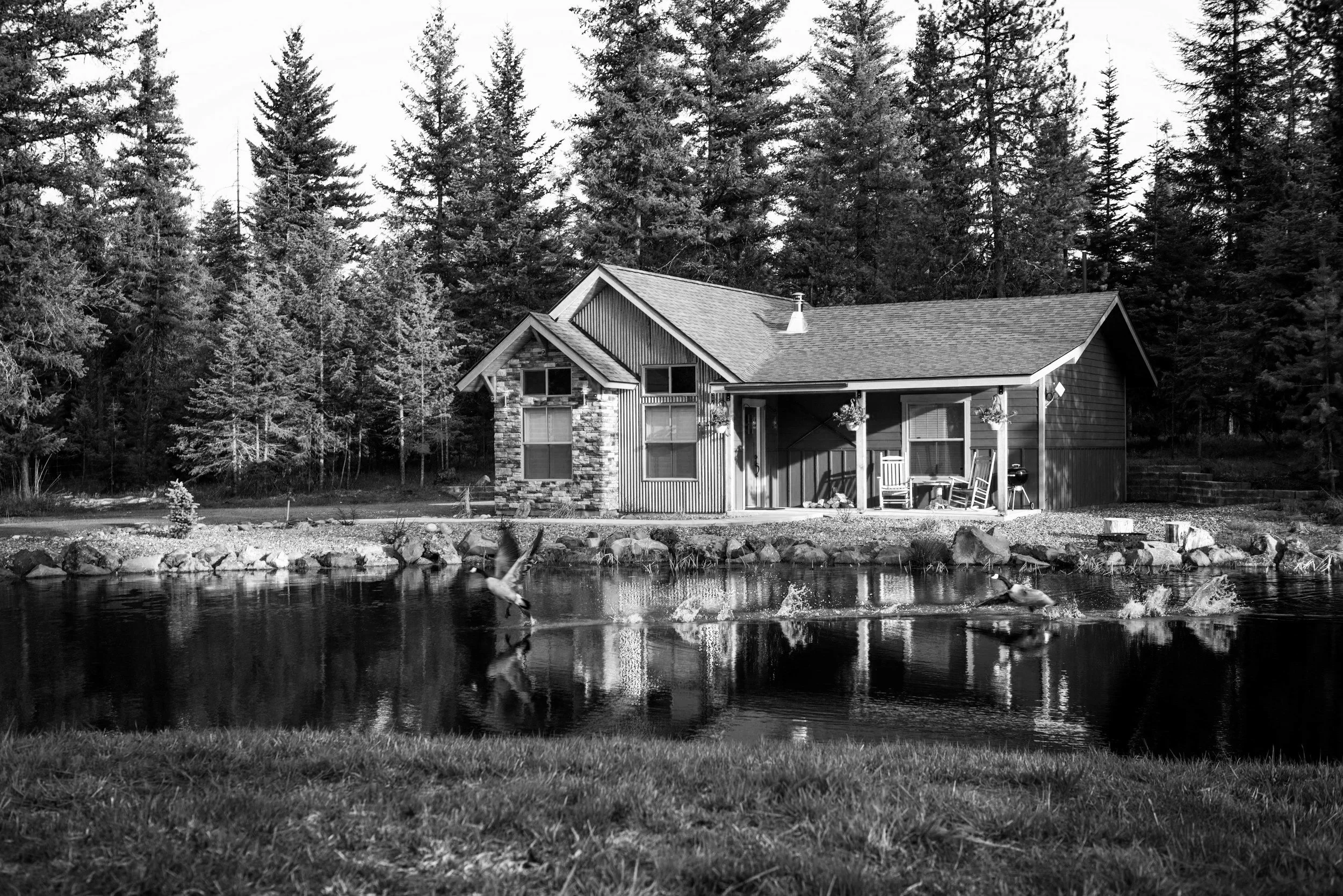 Beautiful home with pond foreground and woodlot in background
