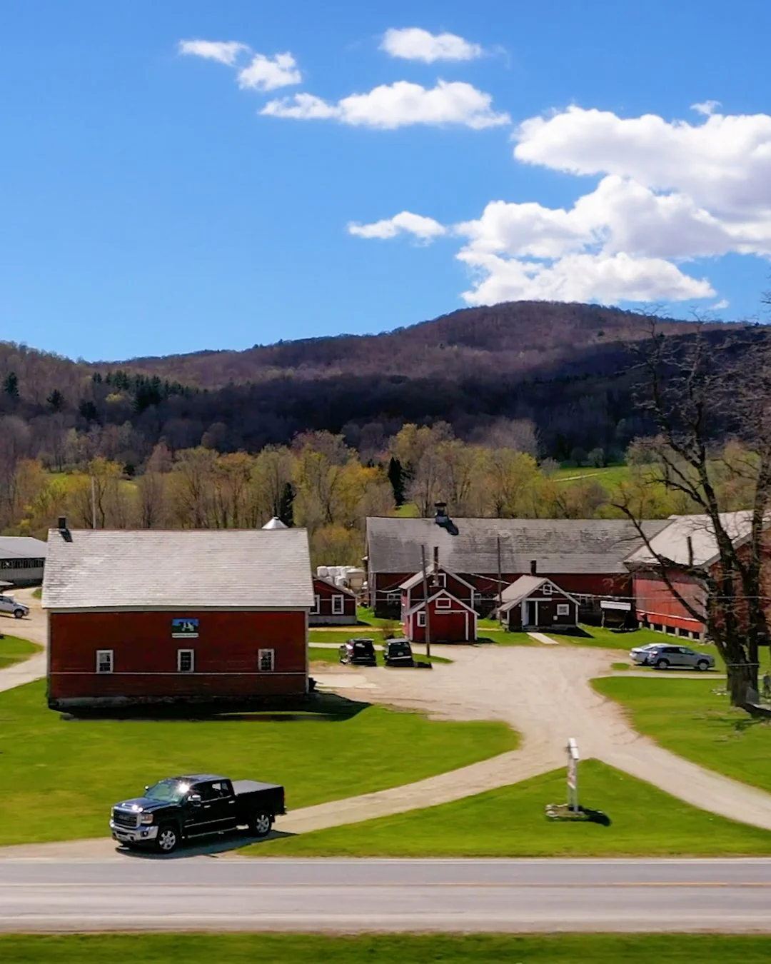 It starts with the land. It ends at your table. In between, a Vermont farmer does the work that makes everything taste this good.

www.saycheesevermont.com

Shown: @woodlawnfarmvt