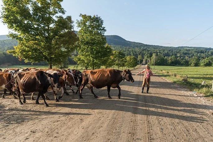 Somewhere in Vermont right now, a farm family is working hard so their dairy products can end up exactly where it belongs: on your board, at your table, in your life.

📸 @vtcheese