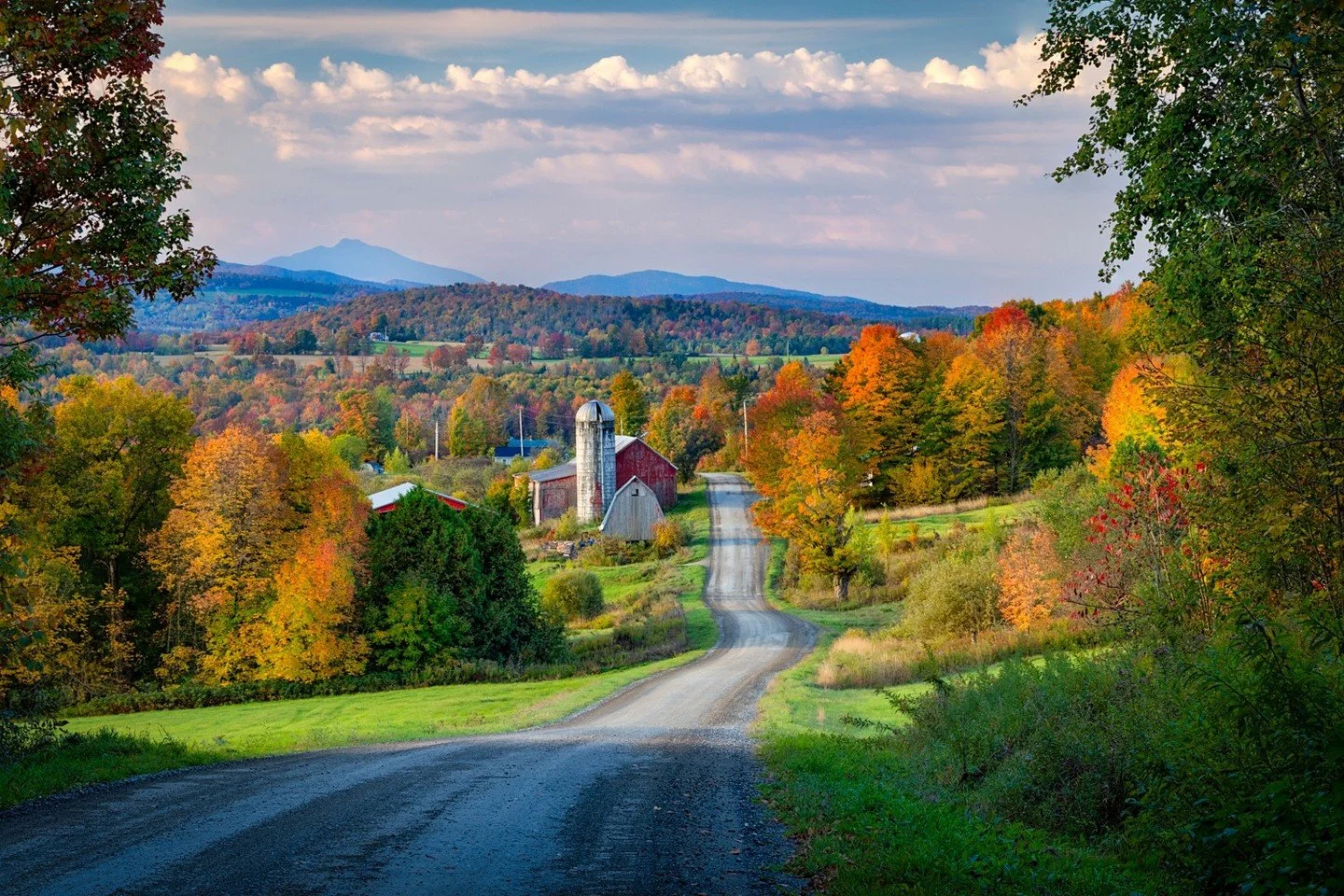 Peak foliage, peak dairy season, peak reasons to take the scenic route. Vermont in October is doing the absolute most and we love it. 🍁🚗

Be sure to stop by a farmstead, farm store, or grocer to pick up Vermont dairy during your leaf peeping visit!