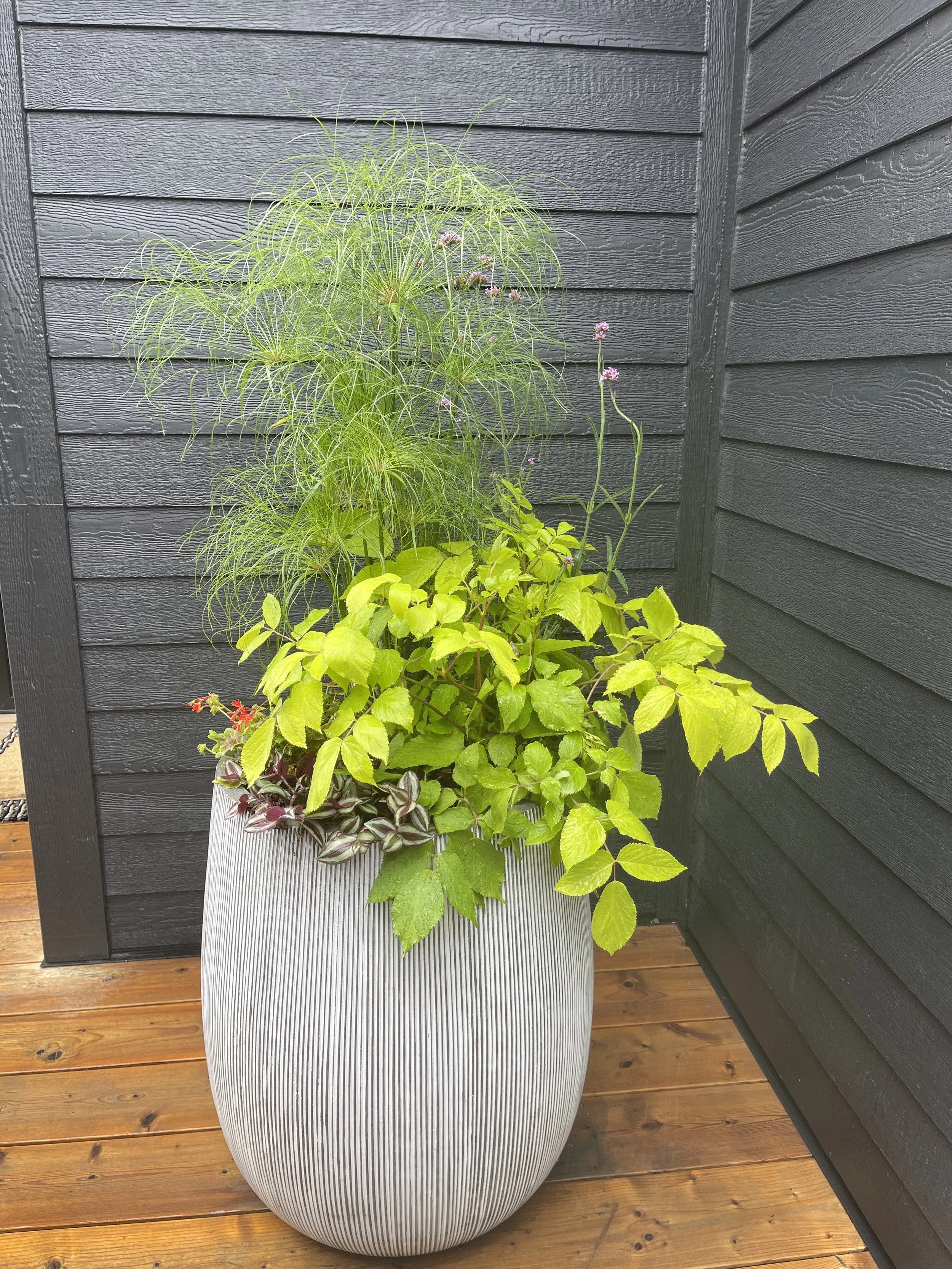 Large vibrant planter