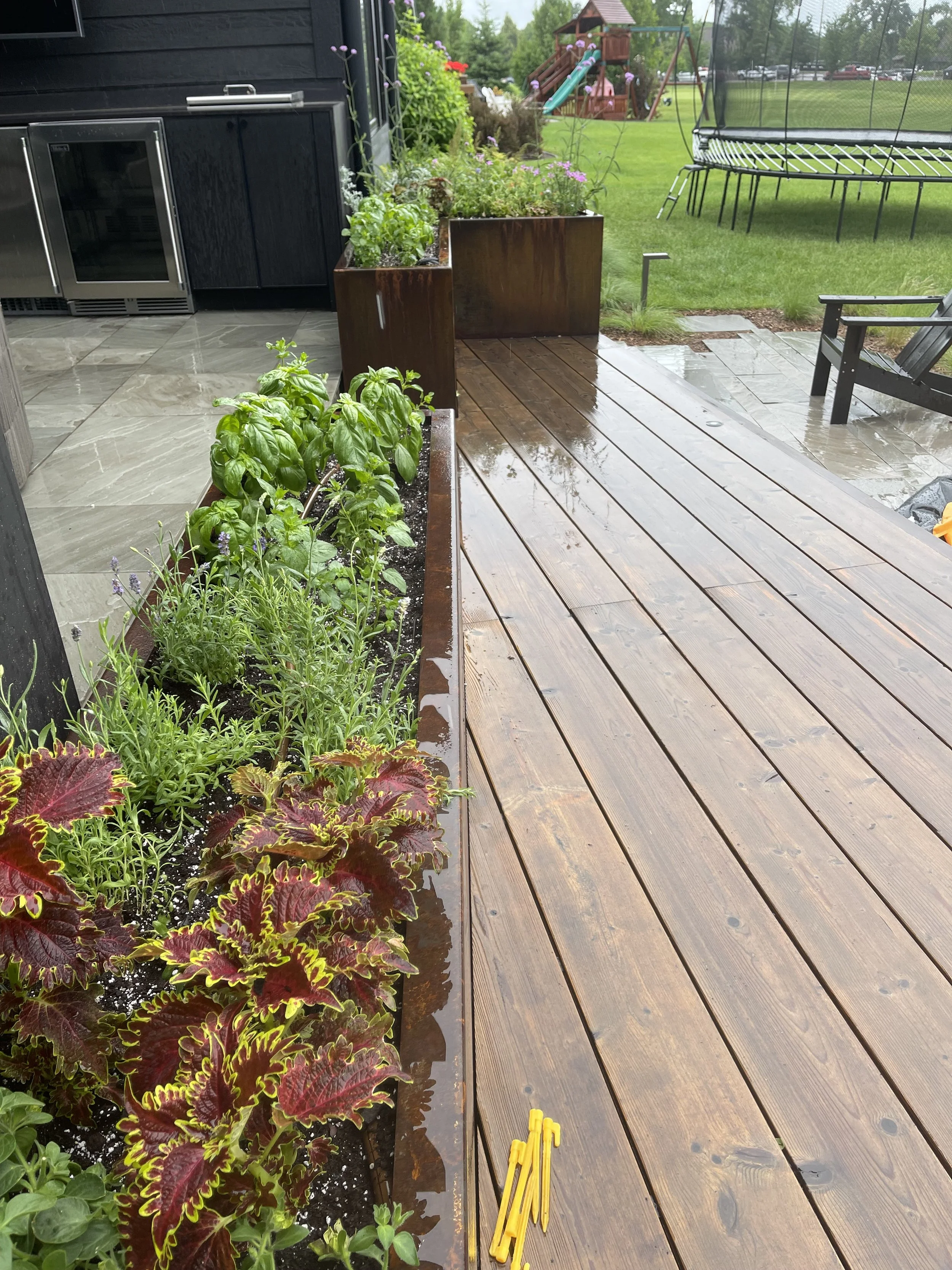 Backyard planter with textured coleus