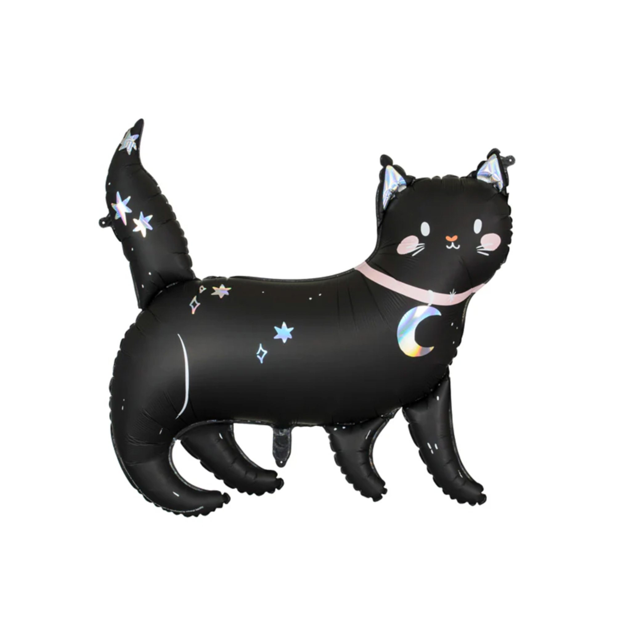 midnight cat