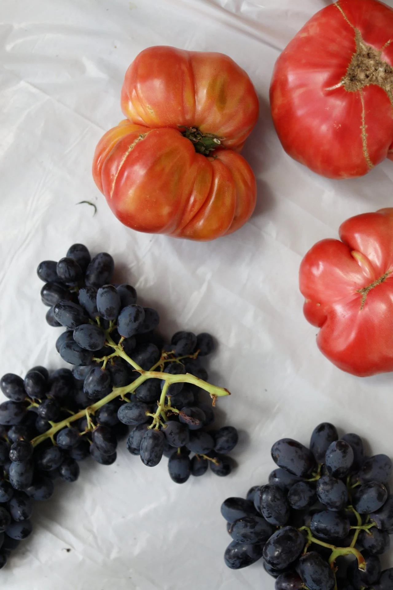 AACC46ED-8731-4F9C-BFBD-EC5EF8349741.jpeg
