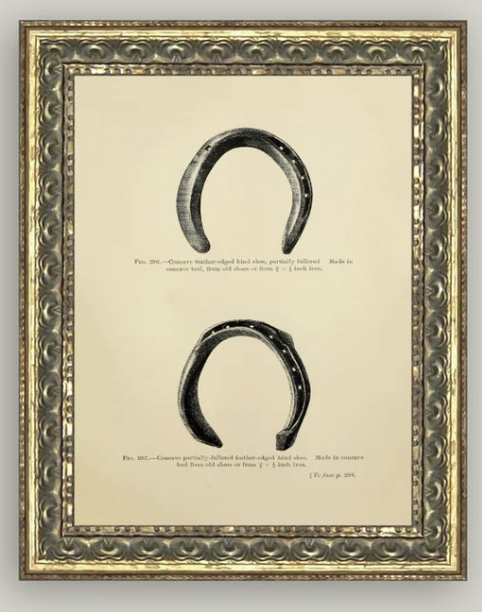 Horse Shoe Study 8x10 Framed Art