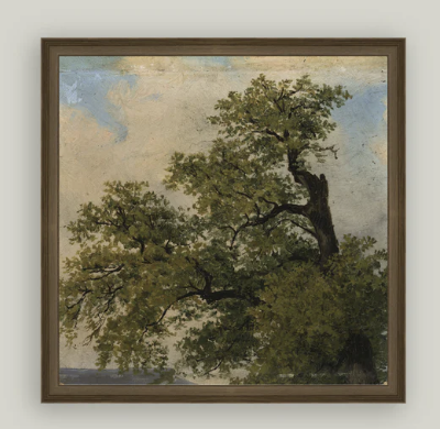 Elegance Nature Art: Painted Trees 6x6