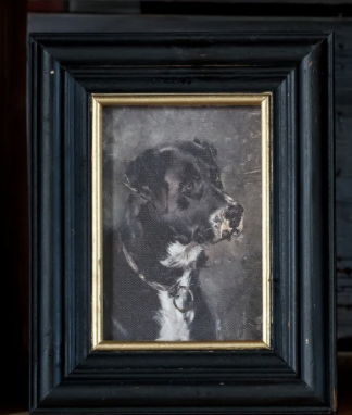 Classic Canine Portrait in Vintage Frame