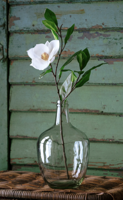 Elegant Baby Magnolia Stem