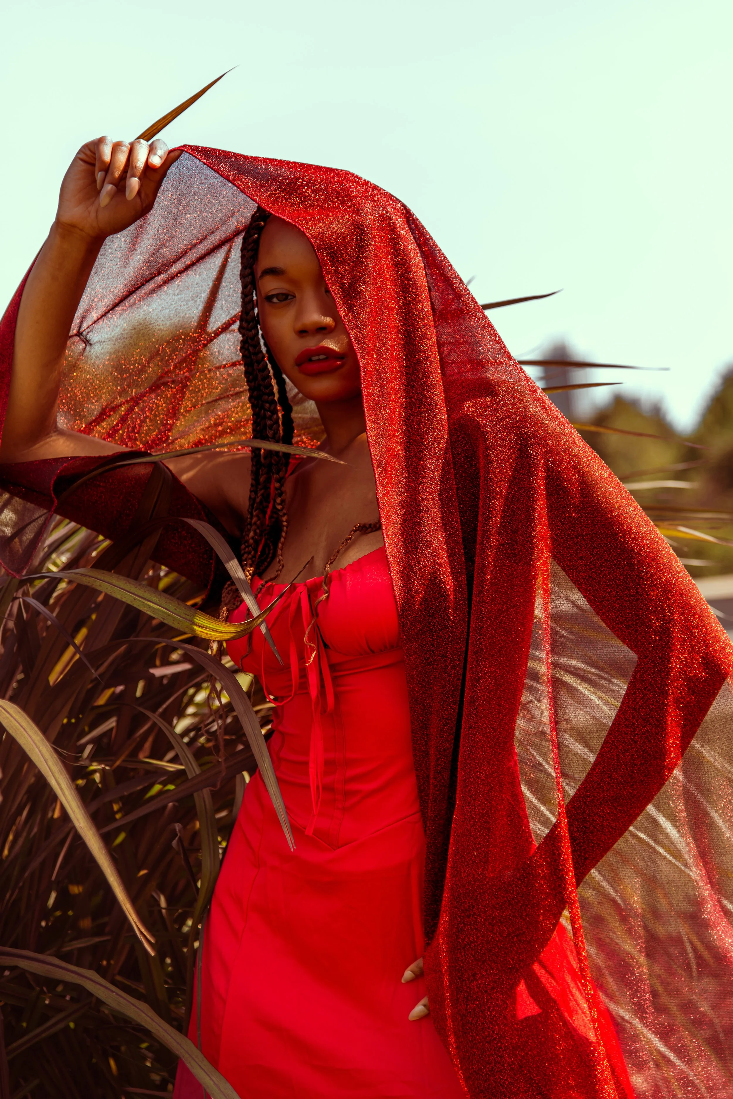 A woman with braided hair wearing a red dress and a glittery red transparent shawl, standing in a field of tall grass with a clear sky in the background.