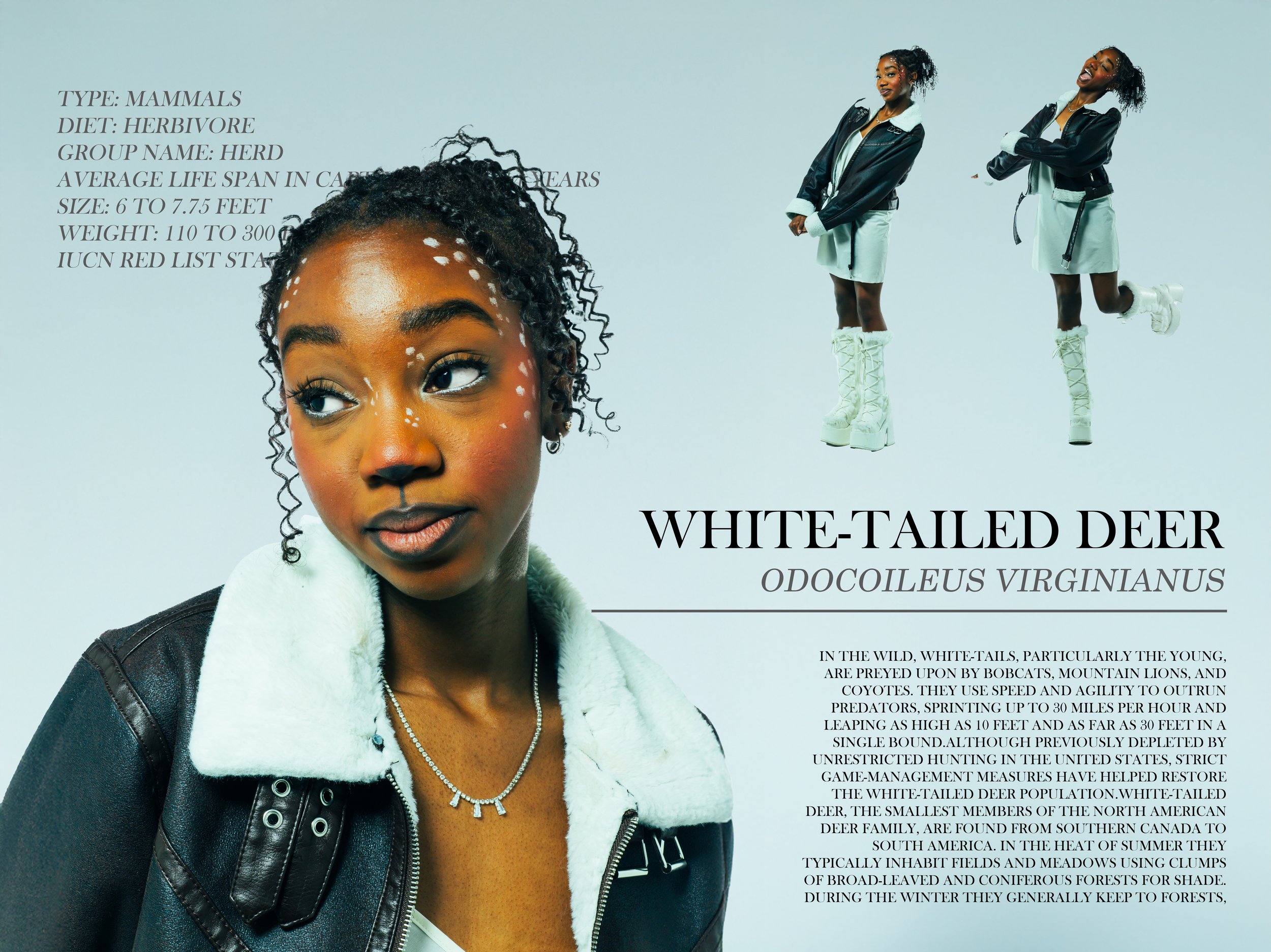 Close-up of a young woman's face and upper body, with text about white-tailed deer. In the background, two full-body images of the woman in a black jacket and light-colored skirt, wearing high white boots, are visible. The woman has curly hair and is