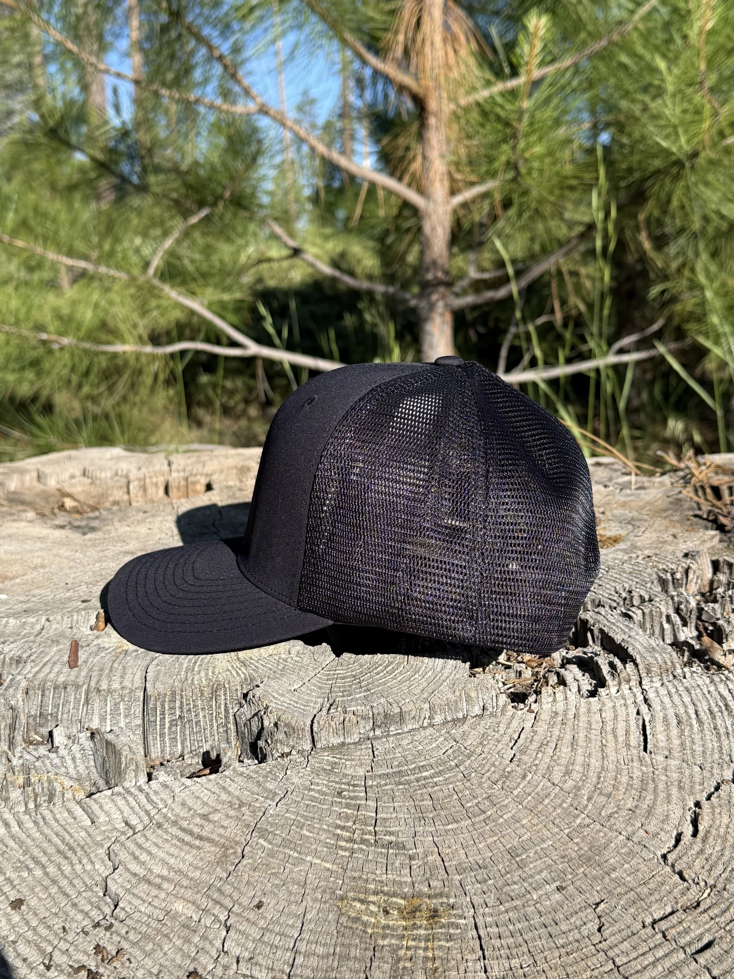Black Ridge; Side.jpg