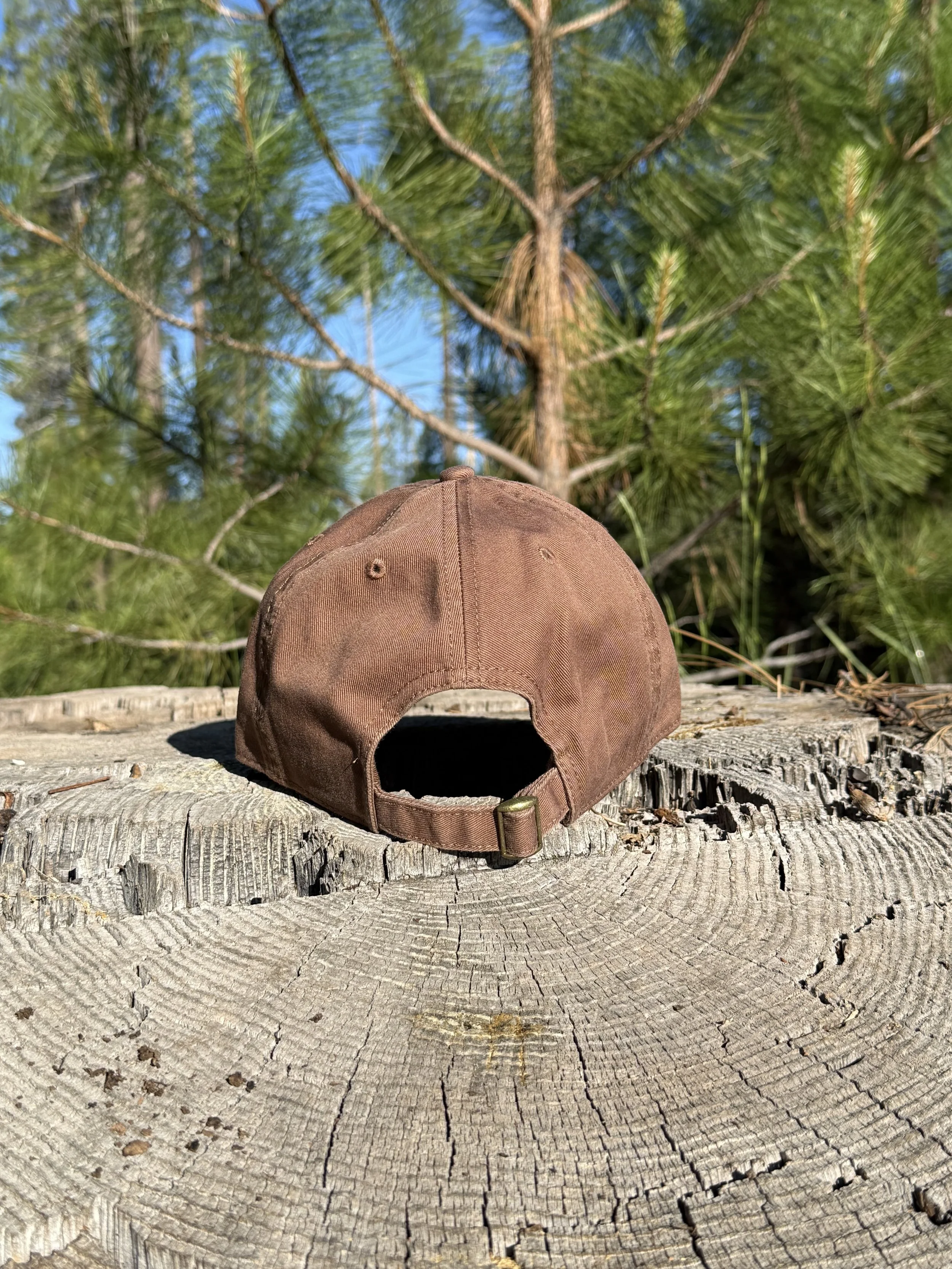 Canyon Brown; Back.jpg