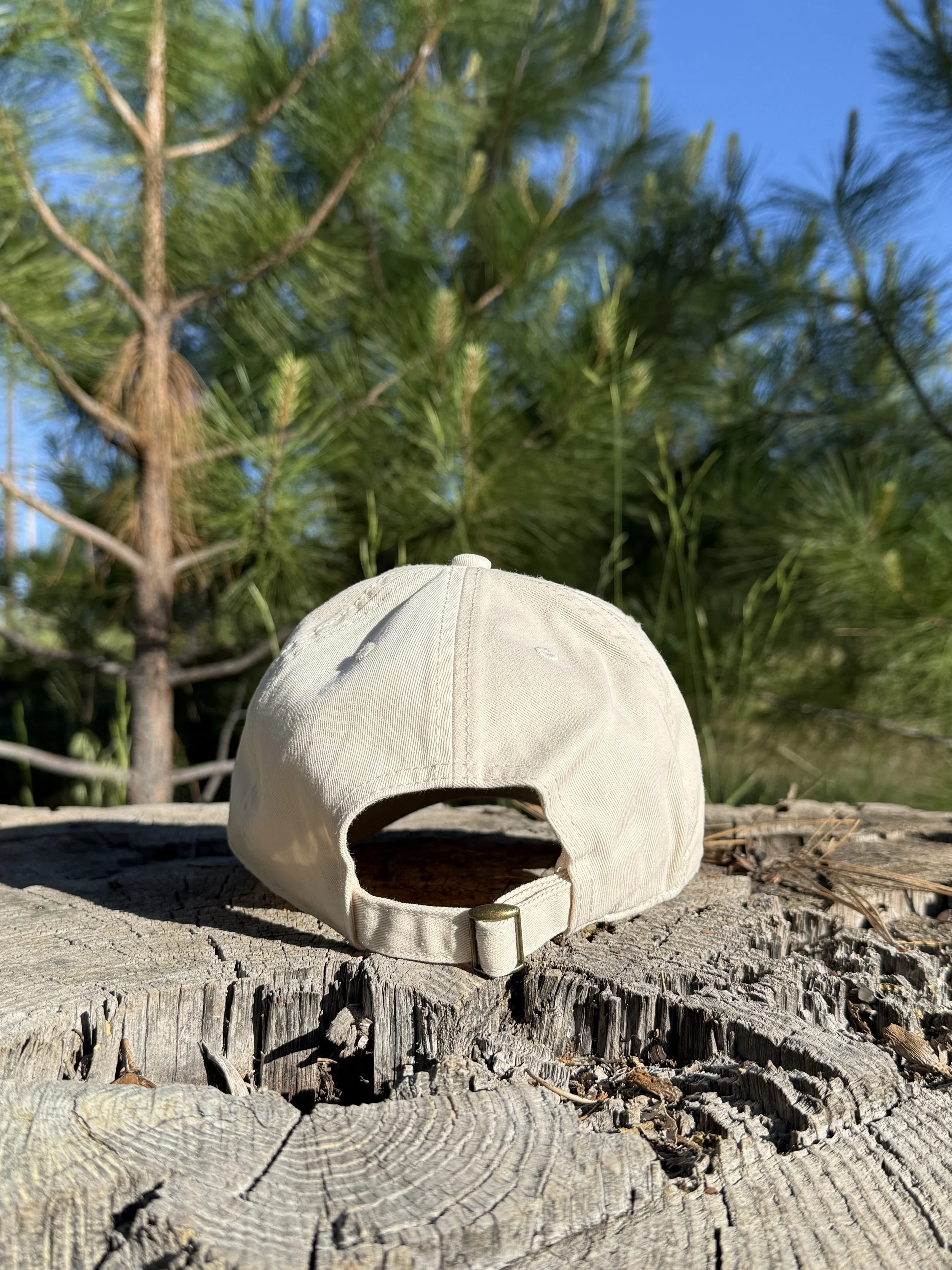 Ivory Trail; Back.jpg