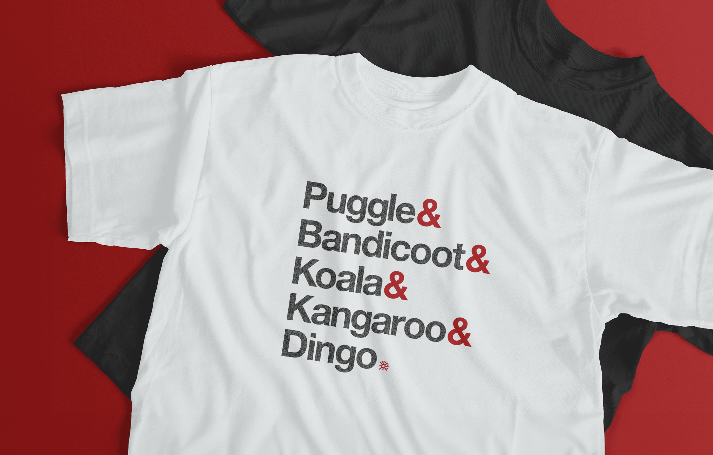 Team Echidna
