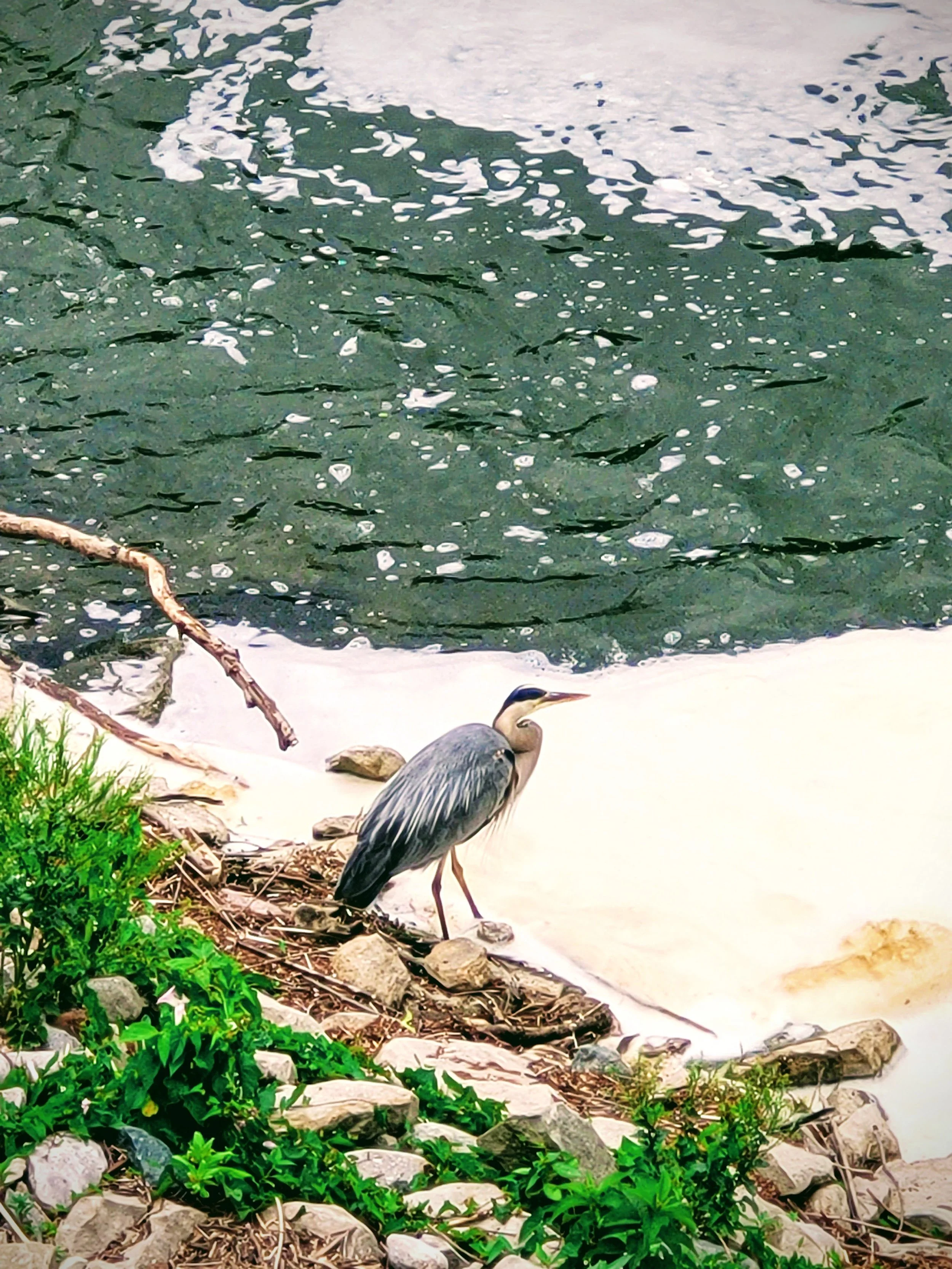 20230616_131717-EFFECTS.jpg