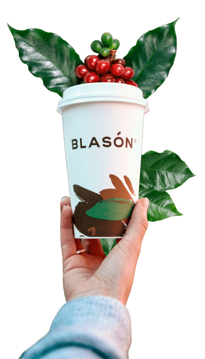 Café Blasón