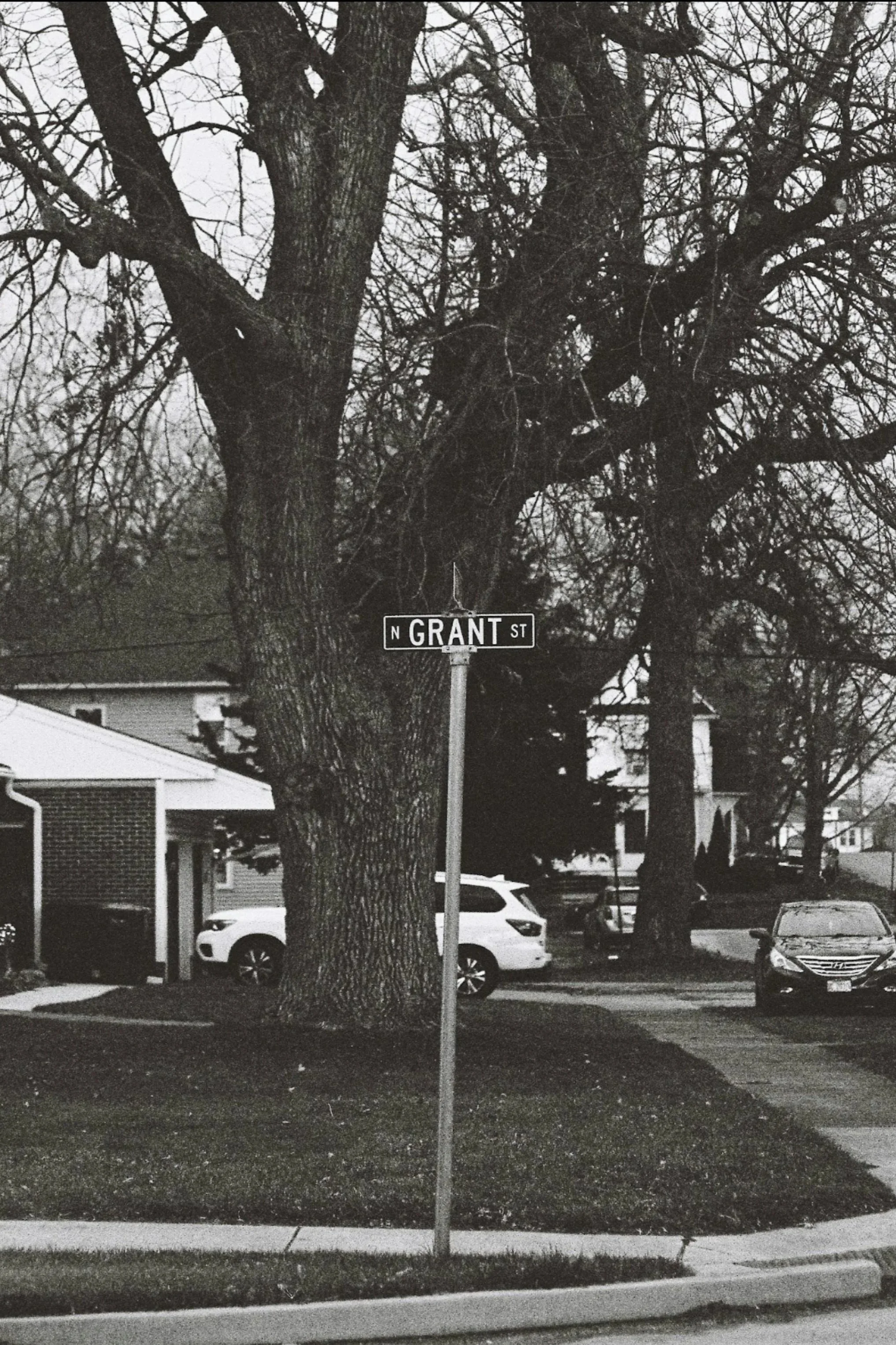A street sign reading 'N Grant St' in a residential neighborhood with large trees and parked cars, in black and white.