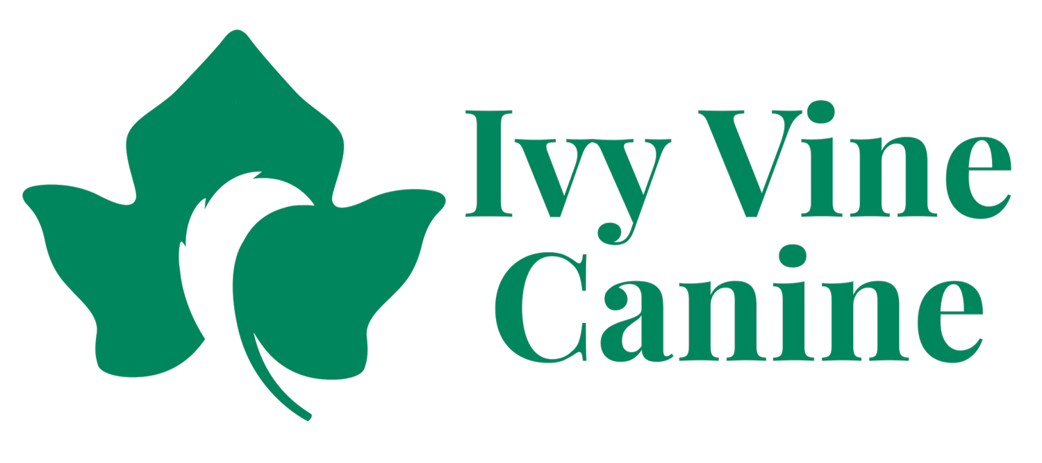 Ivy Vine Canine