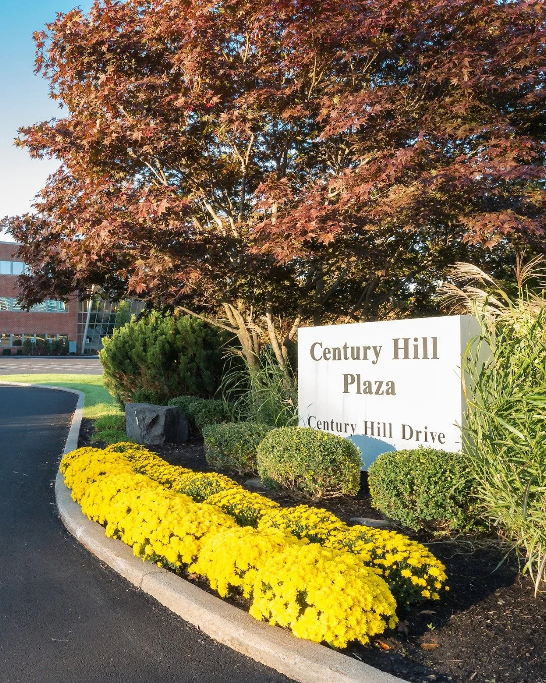 Welcome to Century Hill Plaza! The premier office park is located within 3 miles of Albany International Airport, 8 miles from Downtown Albany, 5 miles to Downtown Troy, and 10 miles from Schenectady, placing it in the heart
of the Capital District. 