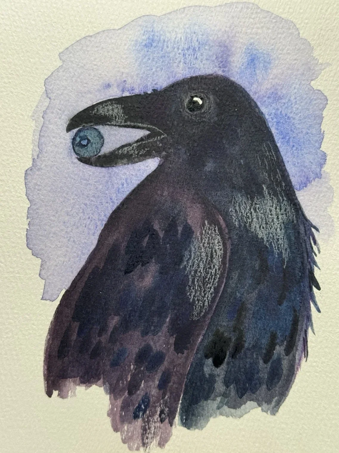 crow.webp