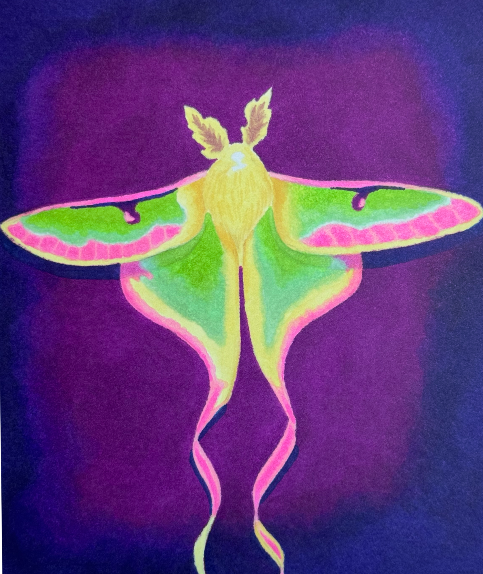 IMG_0676.png