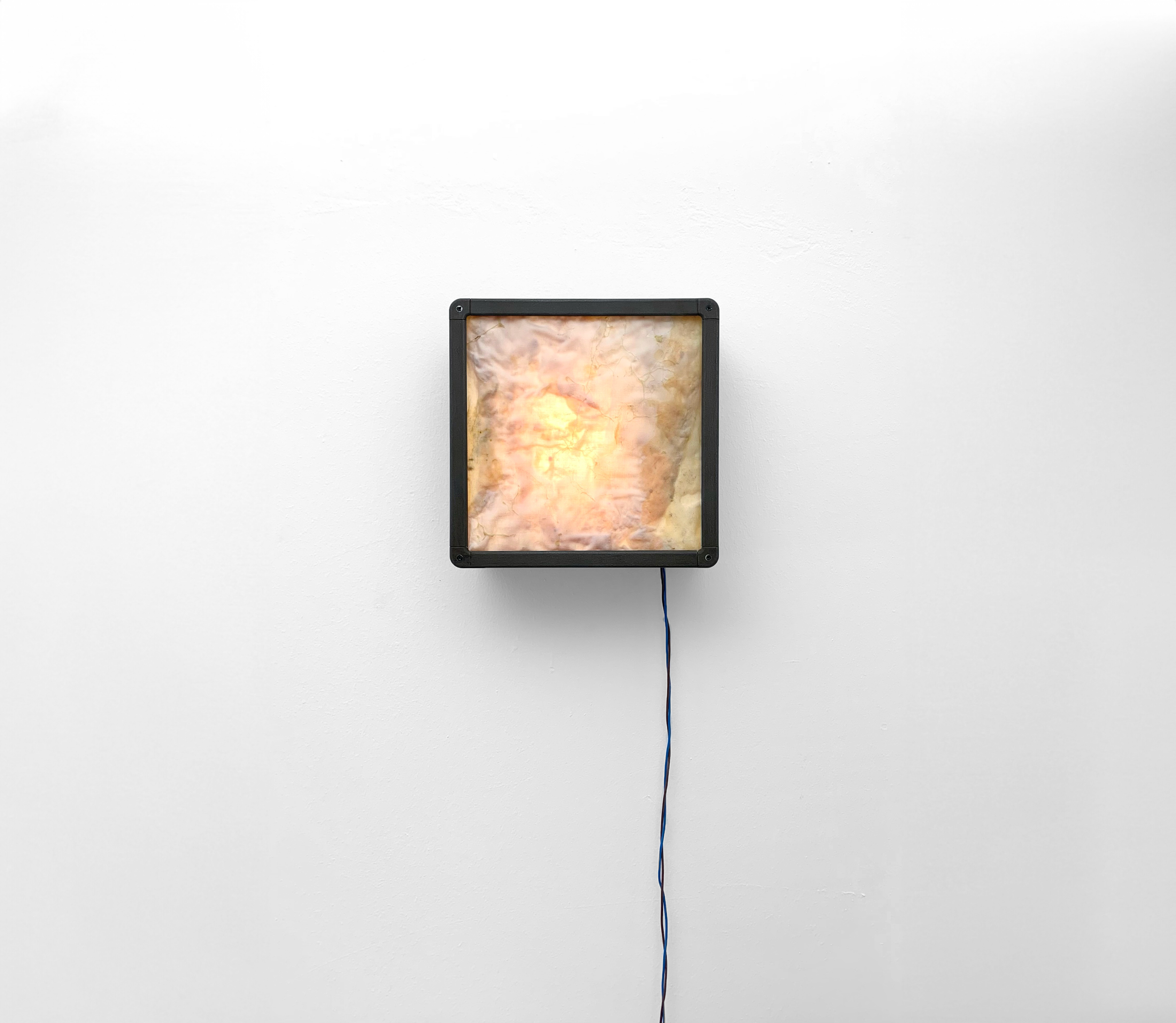 Where Does Your Body Begin?, 25cm x 25cm x 12.5cm, latex and pigments on cloth in backlit frame, 2024