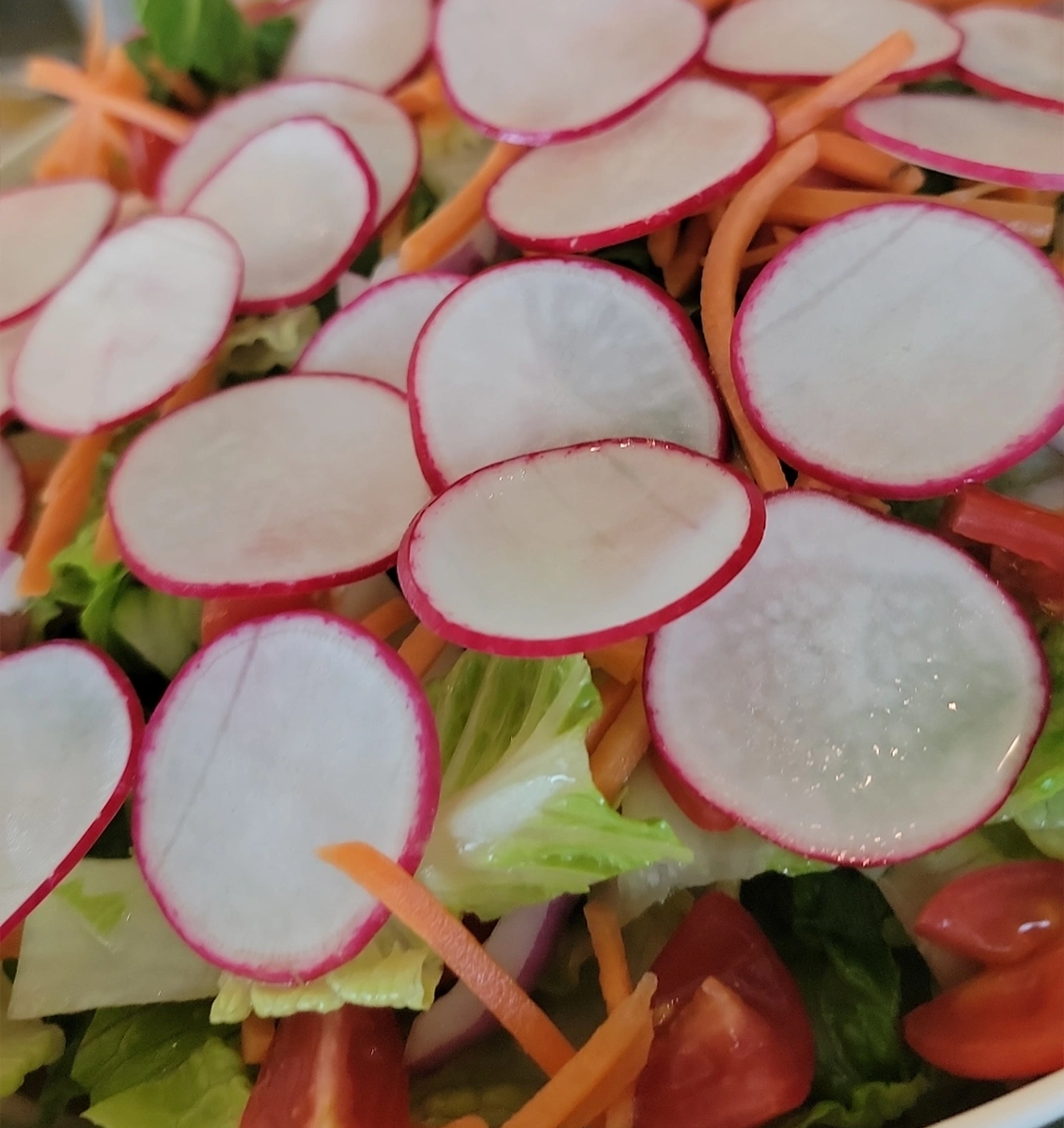 Garden Salad