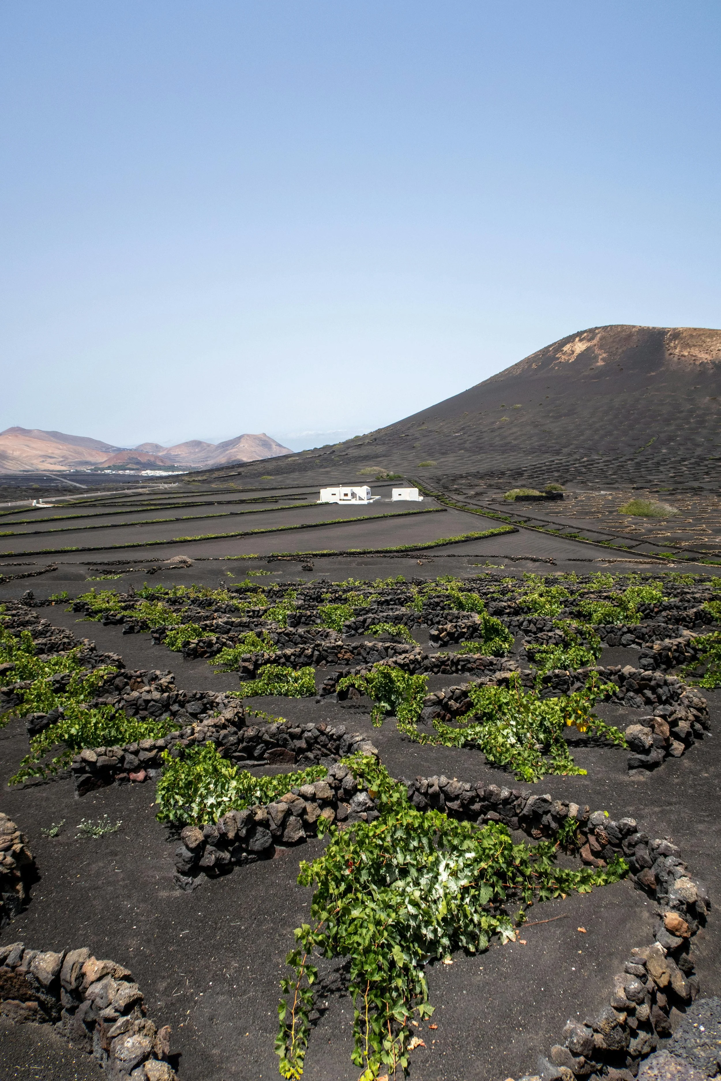 Imagen de Greenspacing.