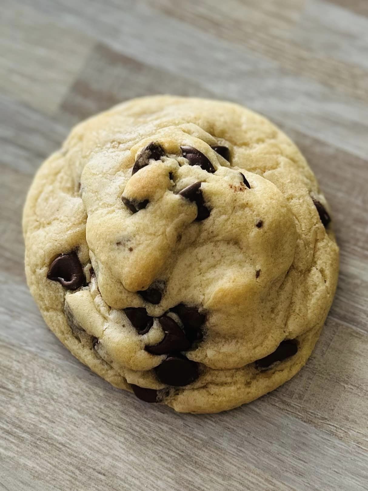 Chocolate Chip Cookie