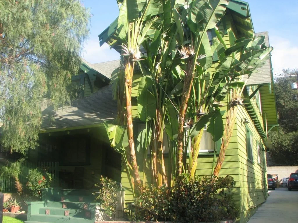 According to the owner, this property at 3924 Griffin Ave looked almost abandoned when he purchased it. The yard was badly overgrown and the house begged for a paint job. After much scraping, an arts and crafts green now covers the large Craftsman wh