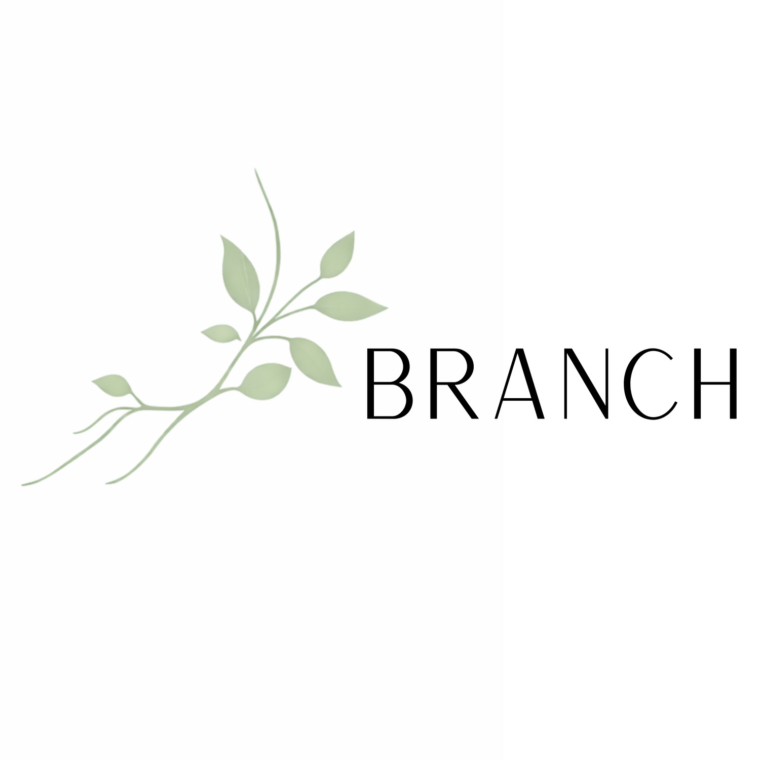 Branch 🌿